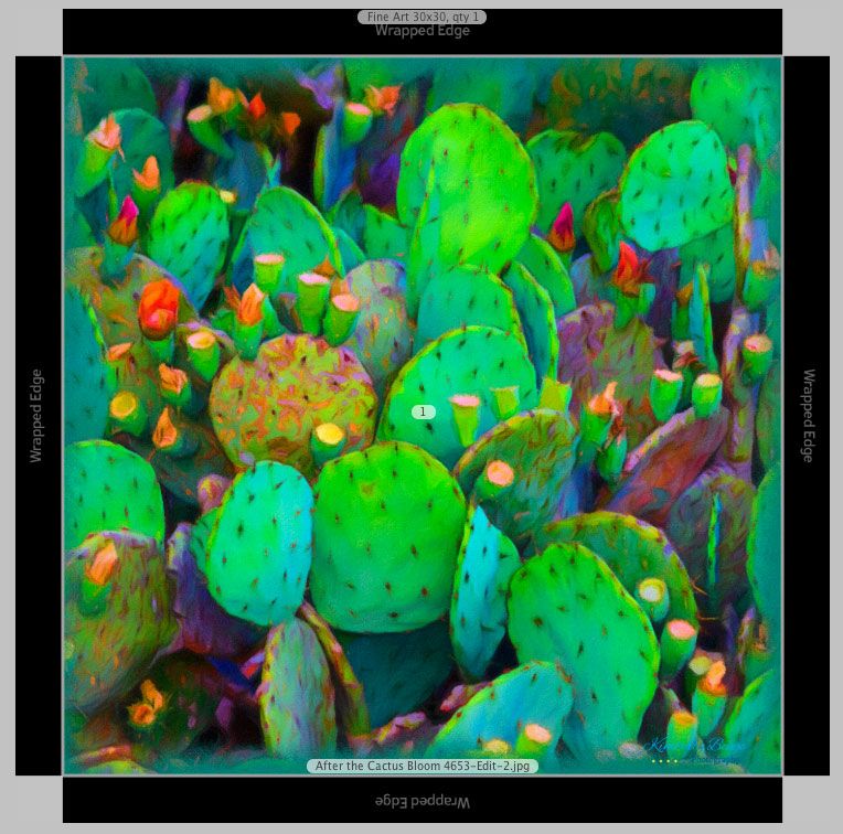 Black border gallery wrap of After the Cactus Bloom