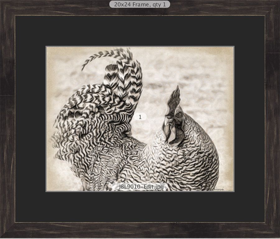 Mr Tuff Rooster showing single black mat