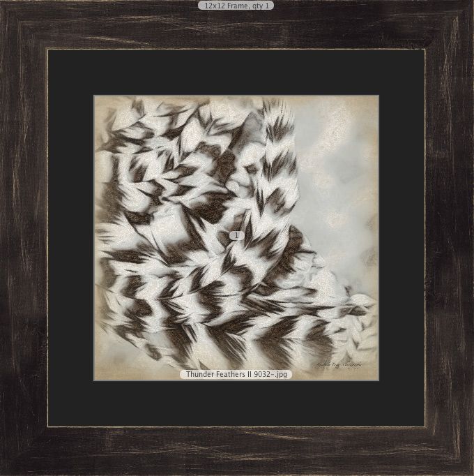 Thunder Feathers II showing single black mat